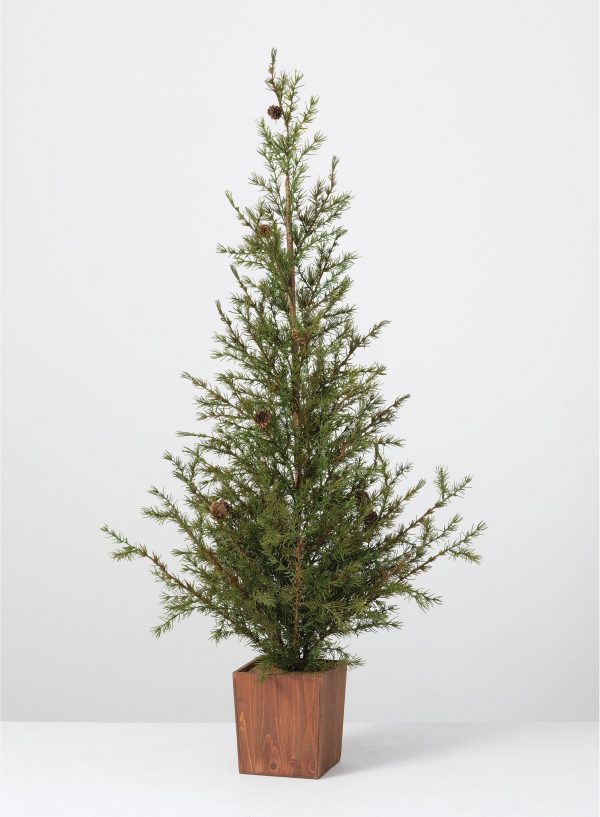 POTTED PINE TREE - Image 3